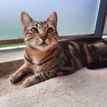 Rose Baumann - @rose.baumann.520 - Instagram