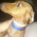 Rosa Beatty - Facebook