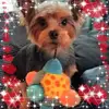 rosabeck246 - @rosabeck246 - TikTok