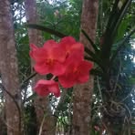 Rosario Maribel Bencosme Reyes - Facebook