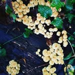 Rosa Bender - @bender_bike - Instagram