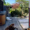 Rosa - @rosabenson3 - TikTok