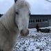 Rosa Berg - Facebook