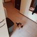 Rosa Berger - Facebook