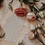 Rosa Berger - Facebook