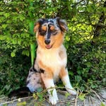 Rosa - @rosa_berger_australien - Instagram
