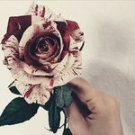 Raphaella Victoria - @rosa_blake_rock - Instagram