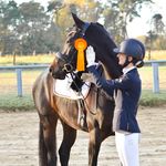 Rose, Blue und Sarah - Horseblog - @sabluca_ - Instagram