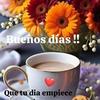 Rosa Bolanos - @rosa.bolanos0 - TikTok