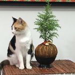 Rosa Brady - @bradyros - Instagram