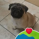 Rosa Elena Brenes - @rosaelenabrenes - Instagram