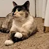 Rayito de sol - @rosa.bruno7 - TikTok