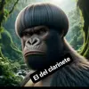 Diego Gonzalez - @rosabuenrostro32 - TikTok