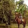 Rosa Buenrostro - @rosa.buenrostro29 - TikTok