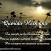 Rosa Campoverde - @rosa.campoverde2 - TikTok