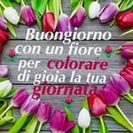 Rosaria Piscopo - @cannizzo.rosaria1959 - Instagram