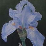Rose Carney - @rose.carney.art - Instagram