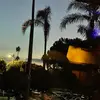 Rosa Catano - @rcatano778 - TikTok