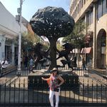 Rosa Alicia Centeno - @rosaaliciamyrealtor - Instagram