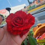Rosa Centeno - @rosa.centeno.77770vyb_ho_k_u_i - Instagram