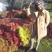 Rosa Cerqueira - Facebook