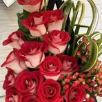 Rosa Cerritos - Facebook