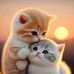 Rosa Chapman - Facebook