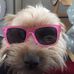 Rosa Chapman - Facebook