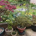 Rosa Clarke - Facebook