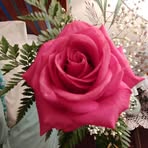Rosa Clary - Facebook