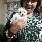 Rosa Clearys - @rosaclearys - Instagram