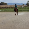 Rosamccleary - @rosamccleary - TikTok