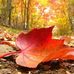 Rosa Conrad - Facebook