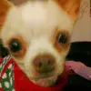 Rosa Copeland - @rosa.copeland6 - TikTok