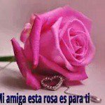 @Rosa Coria - @rosacor.marcas11 - Instagram