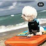Rosa Coria - @rosa.coria.94617 - Instagram