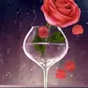 rosacoria643 - @rosacoria643 - TikTok