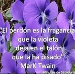 Rosa Corral - Facebook