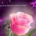 Rosy Cox - Facebook