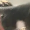 Rosa Daly - @rosadaly195 - TikTok
