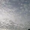 rosa ydaly Allende vallejo - @rosa.ydaly.allend - TikTok