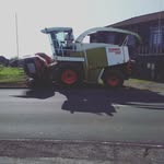 Daniel Silva rosa - @rosa.danielsilva - Instagram