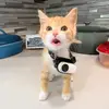 Rosa Daniels - @rosa.daniels5 - TikTok