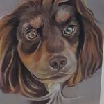 Rose Davidson - @rosedavidsonportraitartist - Instagram