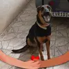 Rosa Day - @rosa.day2 - TikTok