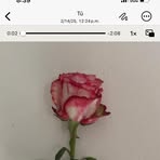 Rosa DeAnda - Facebook