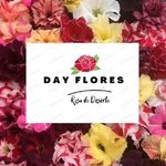 Rosadodeserto❤️ - @rosadoddeserto - Instagram
