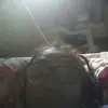Rosa Donado165 - @rosadonado5 - TikTok