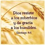 Rosa Donado - Facebook