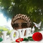 Rosa Donado - @rosa.donado.984 - Instagram